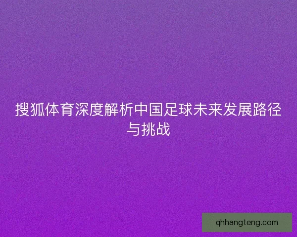 搜狐体育深度解析中国足球未来发展路径与挑战